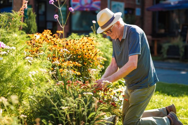 Älterer Mann bei der Gartenarbeit