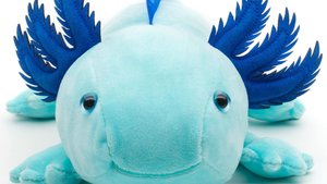 Diese 10 putzigen Axolotl-Geschenke werden Kinder lieben
