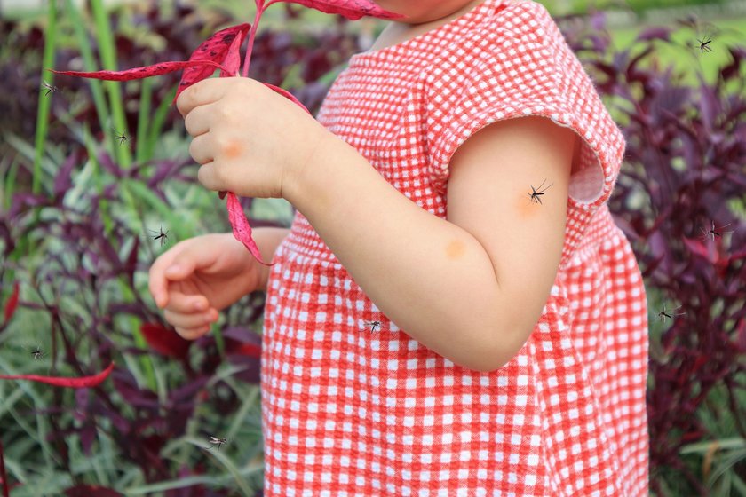 Mit dem Baby sicher durch den Sommer: Kind wird gerade von einer Mücke gestochen