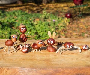 Basteln mit Kastanien: Unsere Ideen für 9 süße Figuren