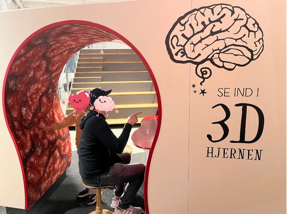 Kopenhagen Experimentarium: Ausstellung zum Gehirn
