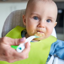 Fisch fürs Baby? So unterstützt die richtige Fischauswahl die Gehirnentwicklung