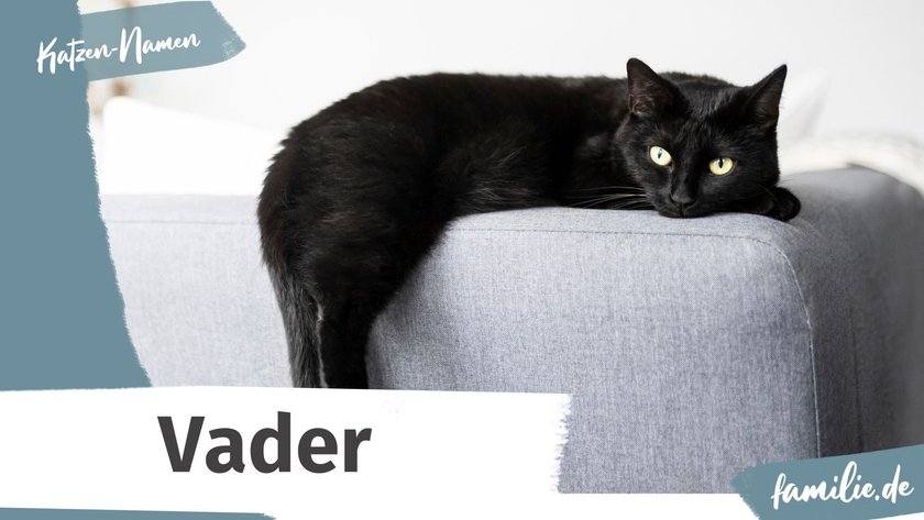 Schwarze Katze Namen: Vader