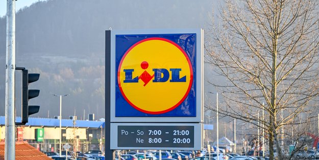 Sommertraum für die ganze Familie: Der Better Garden Stahlsessel mit Baldachin von Lidl