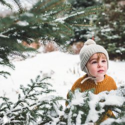 Zum Vorlesen oder Auswendiglernen: Die sieben schönsten klassischen Weihnachtsgedichte für Kinder