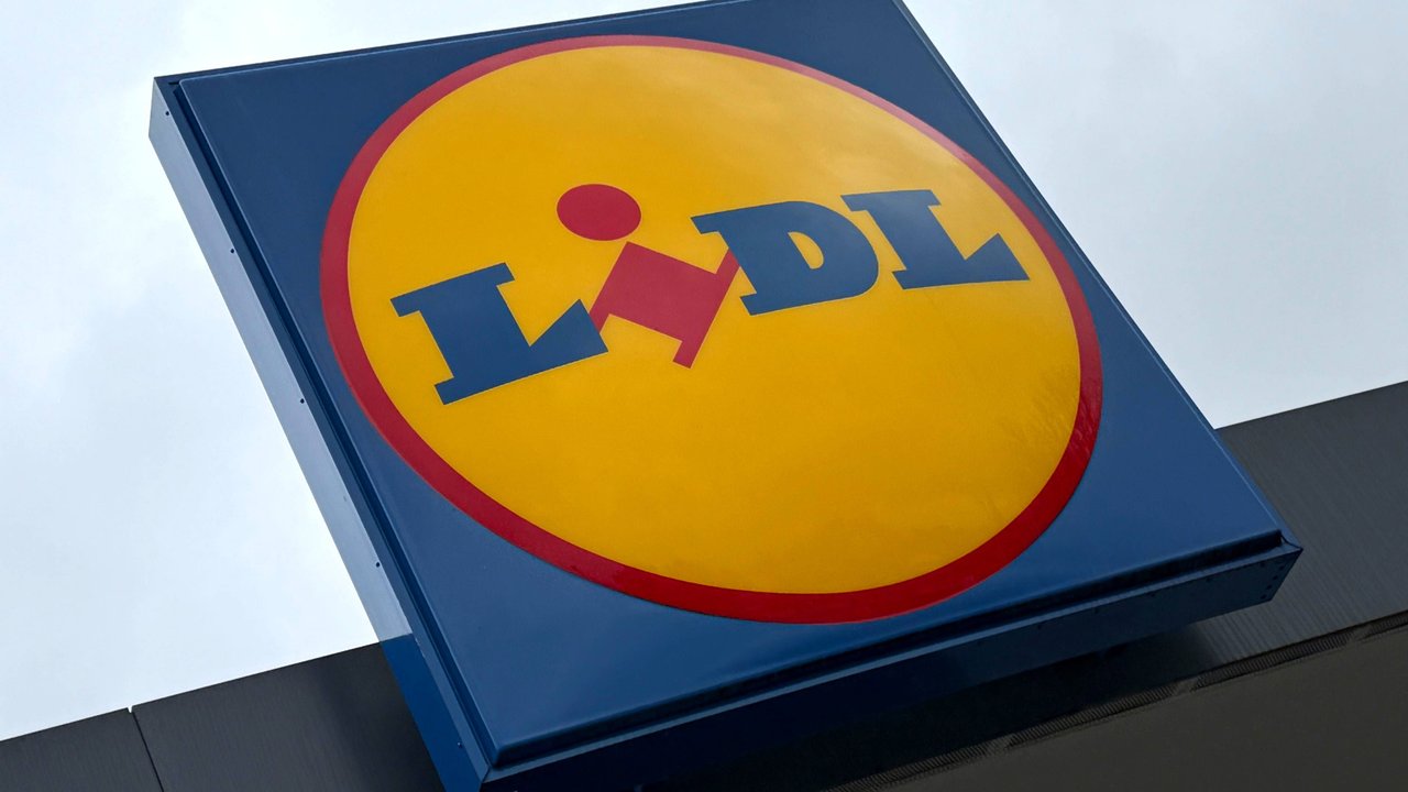 Lidl Elektrokettensäge