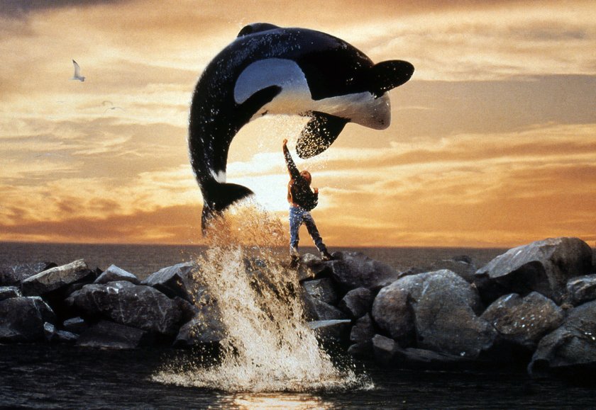 Free Willy 