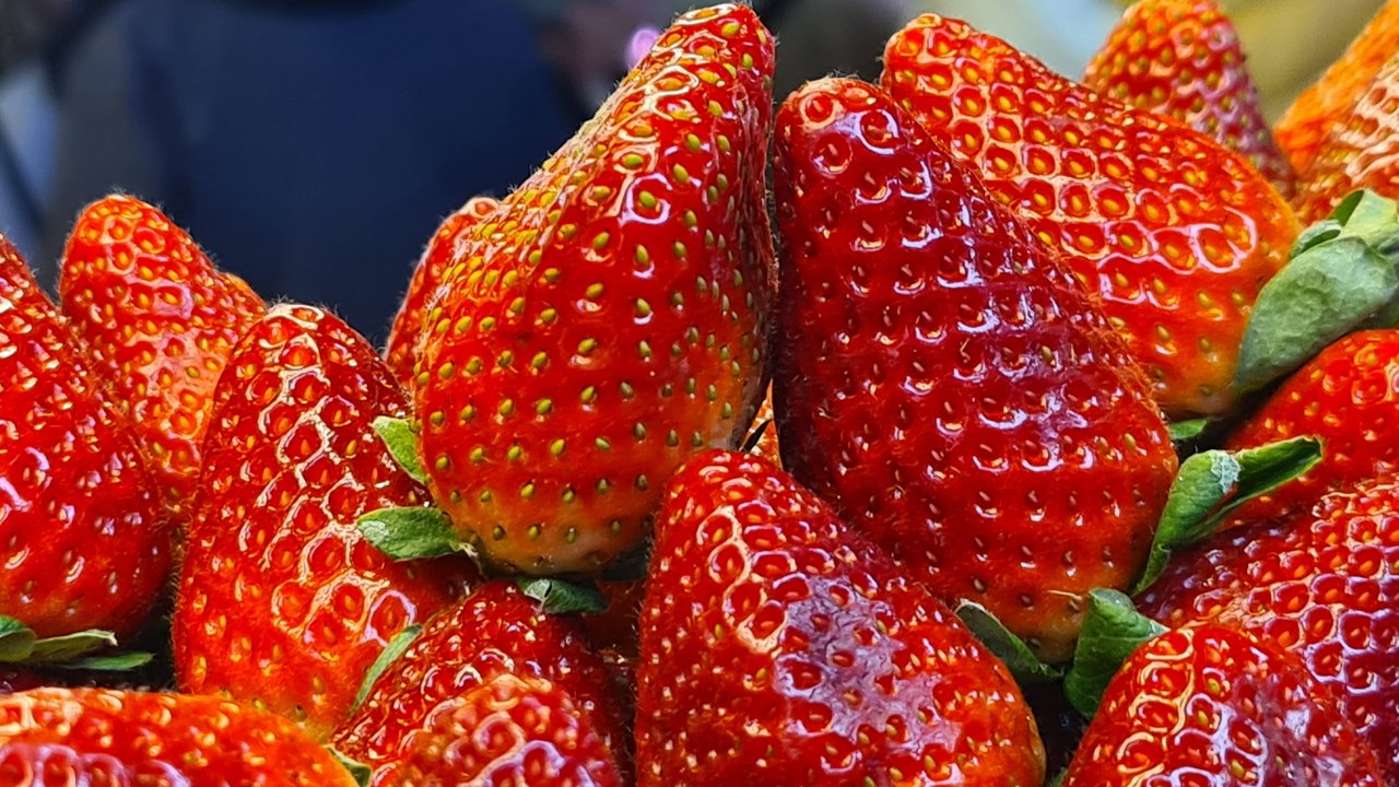Erdbeeren sind anfällig für Schimmel