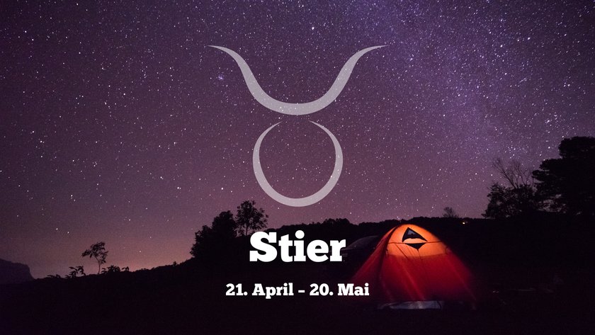 Stier