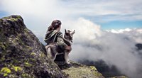 Wandern mit Vierbeiner: Diese 5 Hunderassen sind die idealen Begleiter