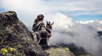 5 Hunderassen, die am besten zum Wandern geeignet sind