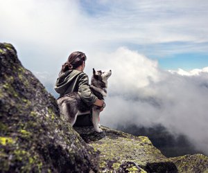 Diese 5 Hunderassen sind die besten Begleitern beim Wandern