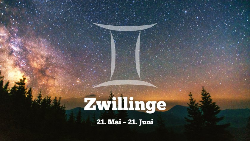 Zwillinge