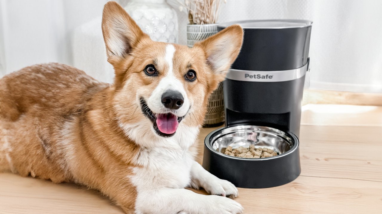 PetSafe Feeder