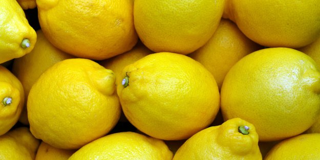 Schimmelfreie Zitronen für mehrere Wochen: Mit diesem Trick gelingt es dir