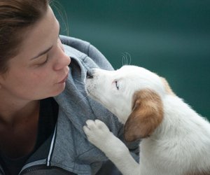 Wenn Hunde euch vertrauen, zeigen sich euch das mit diesen Signalen