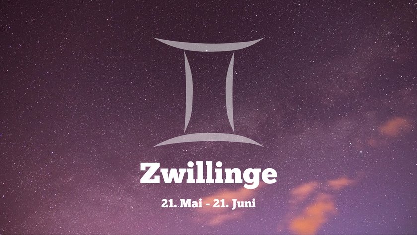 Zwillinge