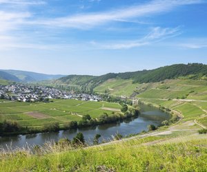 Teste dein Wissen: Das knifflige Quiz zur Kultur und Geschichte von Rheinland‑Pfalz!