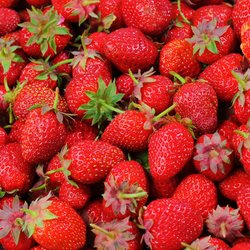 Im März besser verzichten: 5 Lebensmittel, die nicht in deinen Einkaufswagen sollten