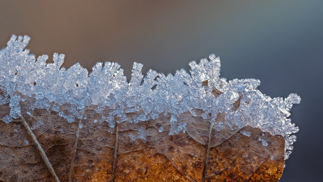 Schnee verwandelt die Welt in ein Winterwunderland.