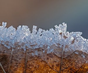 Wie viele Ecken haben Schneeflocken?