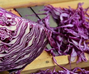 Dürfen Hunde Rotkohl essen? Das musst du dazu wissen