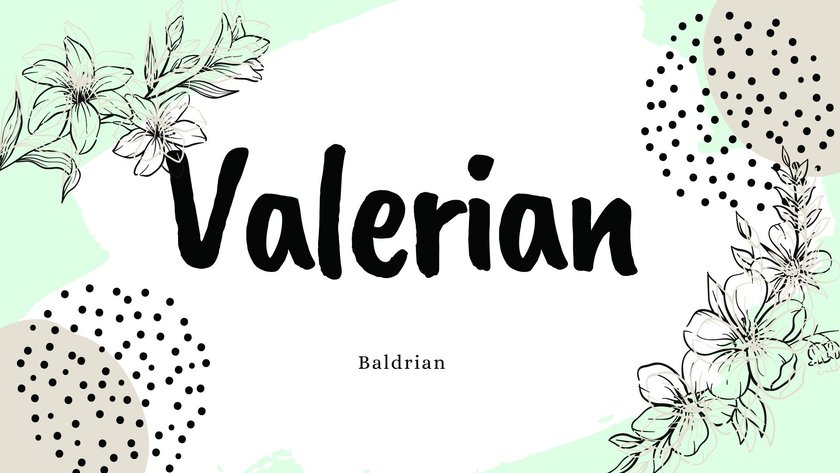 Namen mit der Bedeutung „Blume”: Valerian