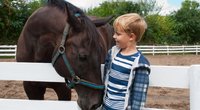 Voltigieren fürs Kind: Als Einstieg in den Reitsport geeignet?