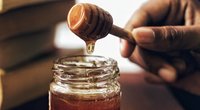 Ist Honig vegan und wie steht es um die Bienenzucht?