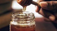 Ist Honig vegan und wie steht es um die Bienenzucht?