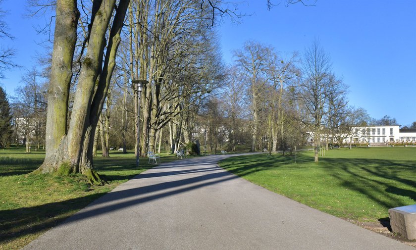 Die Allee im Kurpark Bad Nauheim