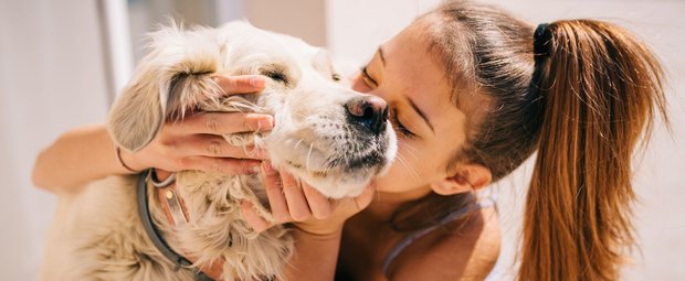 Keine Lust auf Aufregung: Diese Hunde haben wenig Gagdtrieb