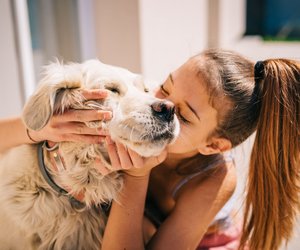 Keine Lust auf Aufregung: Diese Hunde haben wenig Gagdtrieb