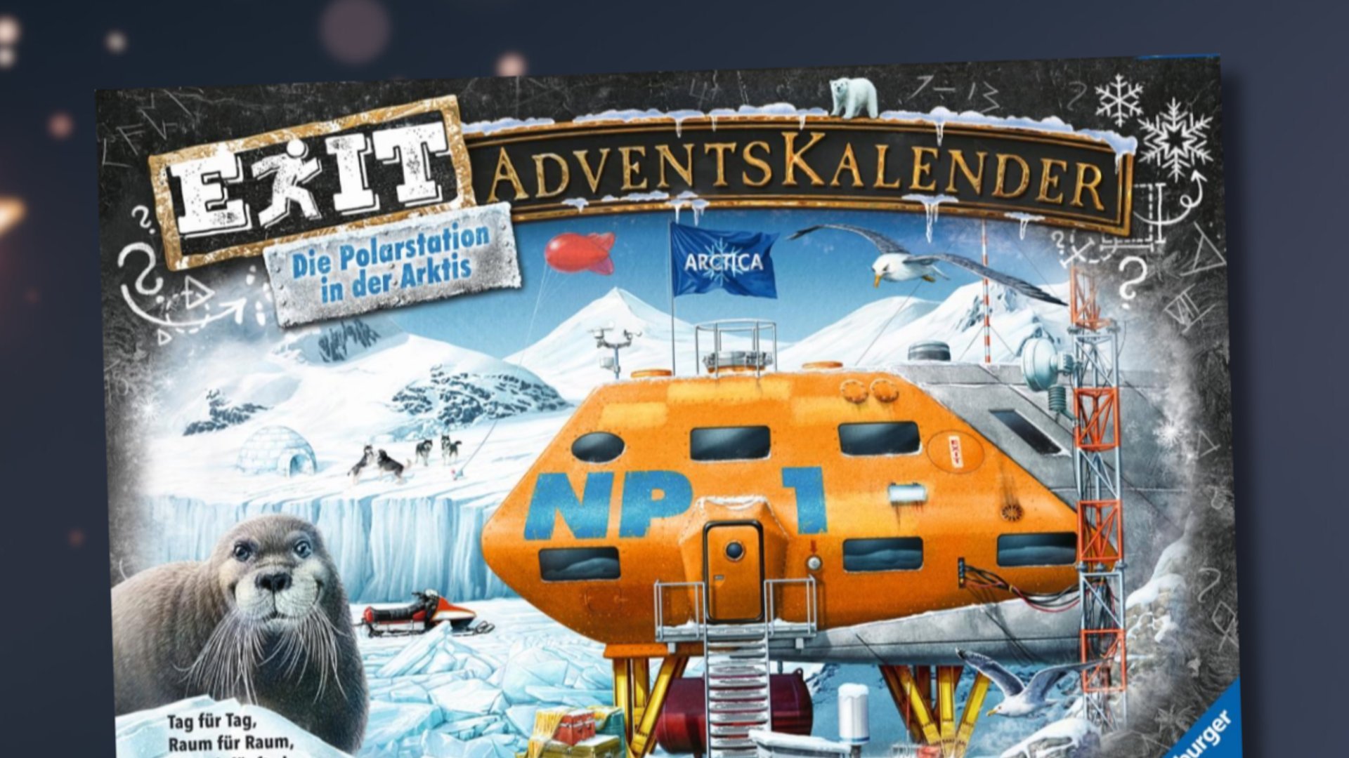 Noch schnell sichern Beliebter EXIT Adventskalender bei Lidl jetzt nur