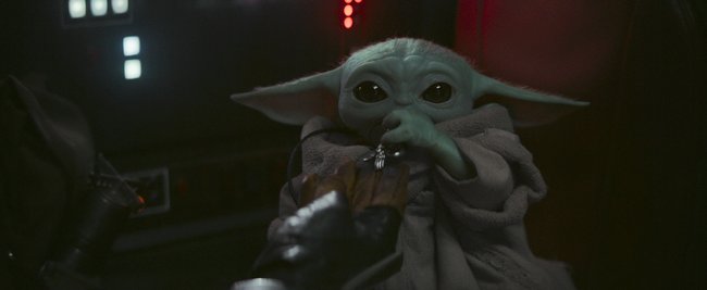 Baby Yoda & Co.: Nach diesen Tierchen sind alle verrückt