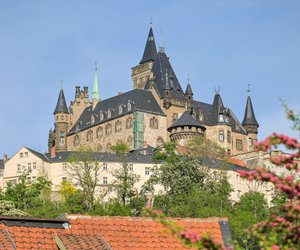 Lust auf eine Zeitreise? Im Harz steht ein zauberhaftes Schloss wie aus dem Märchenbuch
