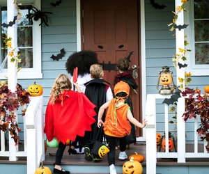 Halloween-Deko für den Garten: 12 kindgerechte Ideen für draußen