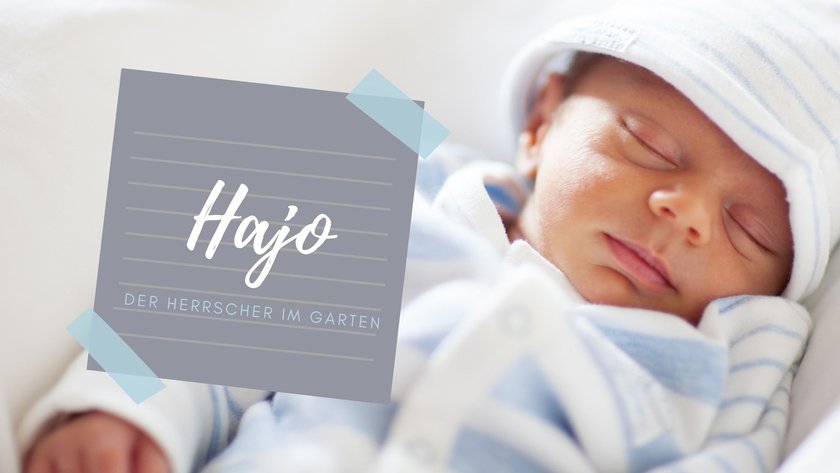 #10 Jungennamen mit H: Hajo