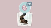 28. SSW: Bauch & Baby wachsen – und viele Kinder knacken die 1-Kilo-Marke