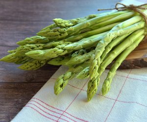 Dürfen Katzen Spargel essen? Das ist zu beachten