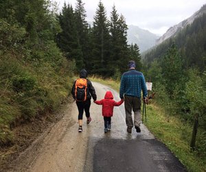 Achtung vor Maggi-Geruch im Wald: So reagiert ihr richtig