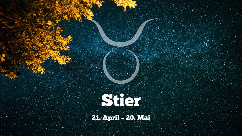 Stier