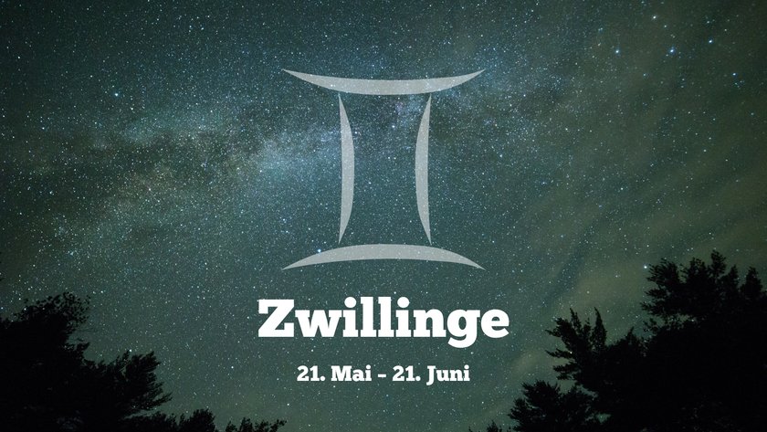 Zwillinge