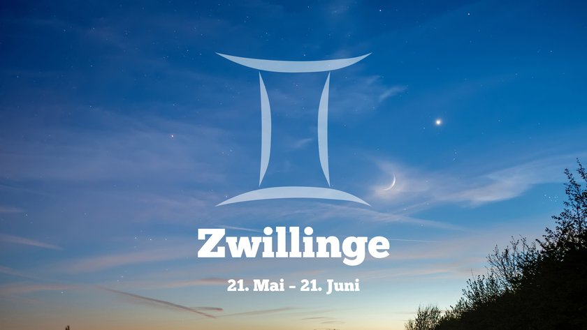 Zwillinge