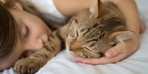 Herzzerreißend: Kleines Mädchen singt ein Lied für ihre sterbende Katze