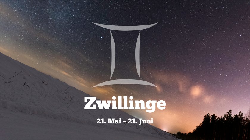 Zwillinge