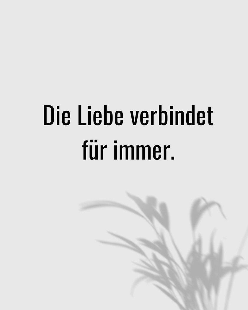 liebevolle trauersprüche tröstende sprüche zum tod
