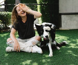 Wie alt werden Border Collies? Diese Lebensspanne ist typisch