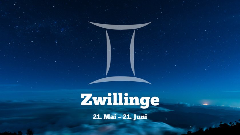 Zwillinge