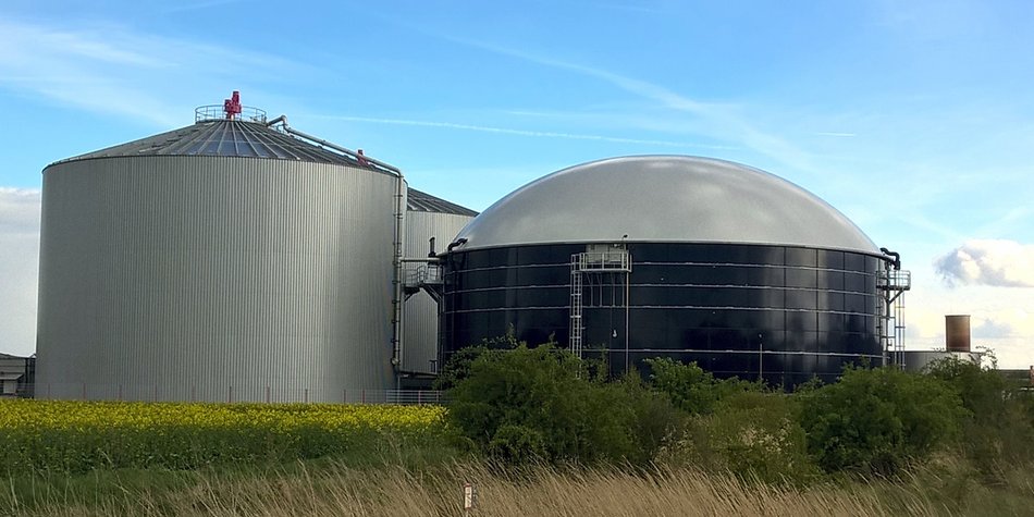 Wie entsteht Biogas? Ein Experiment zeigt es dir!